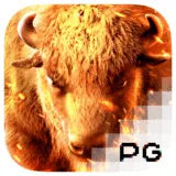 Slot Pocket Games Soft